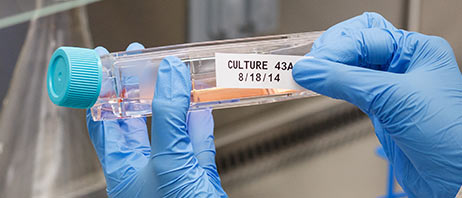 Label being applied to a tube in a lab