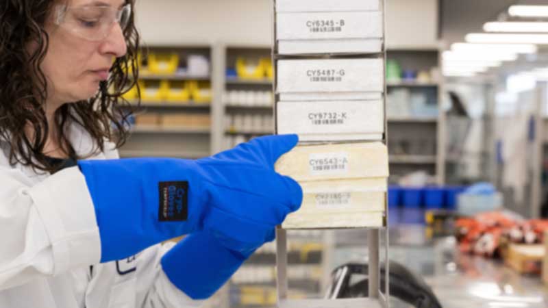 Cryogenic storage labels being used in a laboratory to organize vial storage boxes.