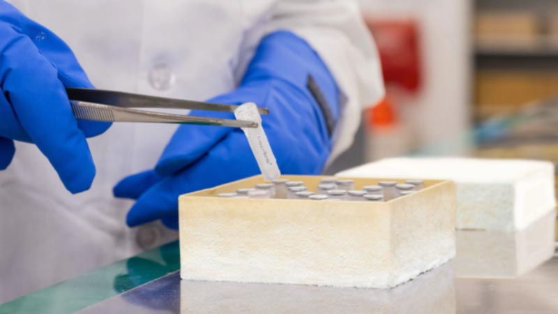 A lab technician moves a cryogenic vial with a Brady FreezerBondz laboratory label.