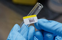 A laboratory technician applies a glassware label to a test tube.