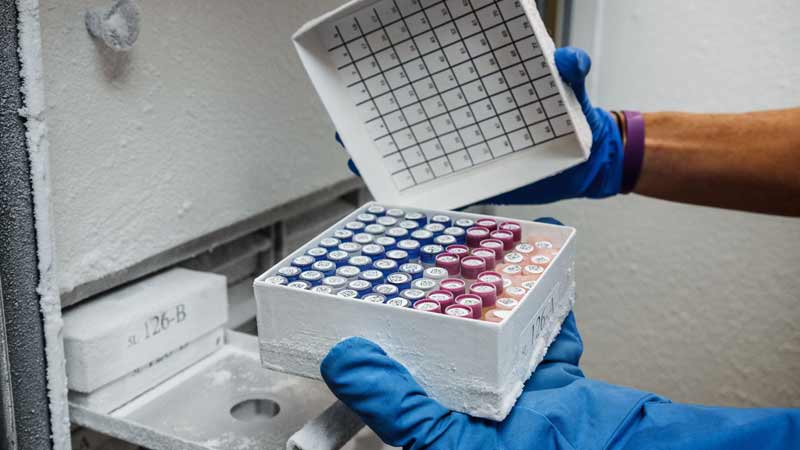 An array of vials stored in a specialized container, each vial bearing a Brady cryogenic lab label designed to withstand extreme cold temperatures.