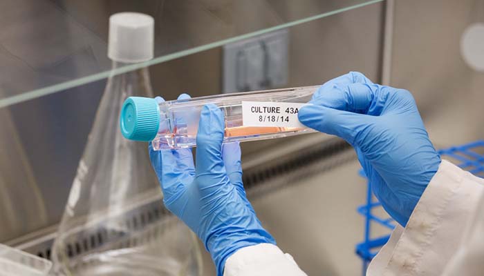 A scientist in a lab coat carefully applying specimen labels to help identify a sample.